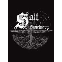 Salt and Sanctuary Steam Key GLOBAL