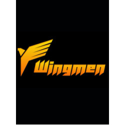 WingMen Steam Key GLOBAL