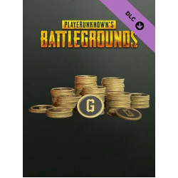 PUBG G-Coin 500 G-COIN (PC) - Steam Key - GLOBAL