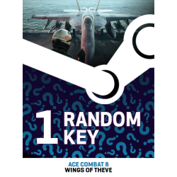 Try to Get ACE COMBAT 8: WINGS OF THEVE - Random 1 Key (PC) - Steam Key - GLOBAL