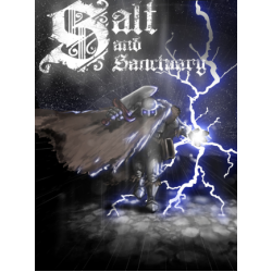 Salt and Sanctuary (PC) - Steam Account - GLOBAL